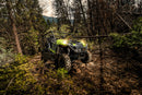 2025 Kawasaki Teryx4 800 Base Neon Yellow