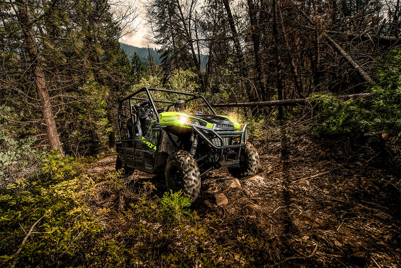 2025 Kawasaki Teryx4 800 Base Neon Yellow