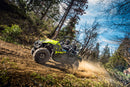 2025 Kawasaki Teryx4 800 Base Neon Yellow