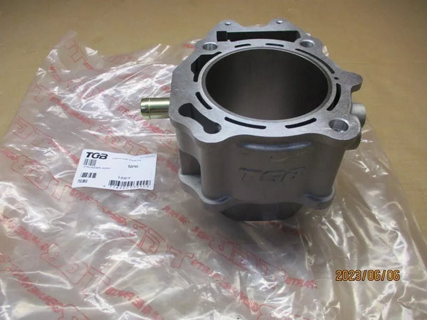 TGB 600 Cylinder 926780